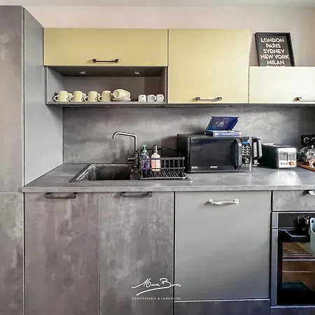 Le Loft Duplex Au Coeur De - 4 - Vue Opera